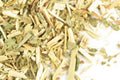 Pre-Pack Queen of the Meadow (Meadowsweet)