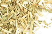 Pre-Pack Queen of the Meadow (Meadowsweet)