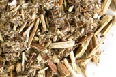 Pre-Pack Mugwort Herb