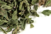 Pre-Pack Peppermint