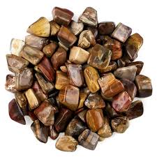 Petrified Wood Tumbled