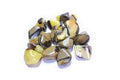 Septarian Tumbled
