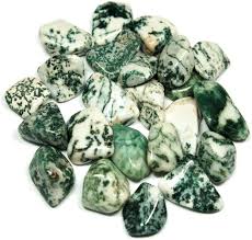 Tree Agate Tumbled