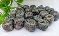 Yooperlite (Flame Stone) Tumbled
